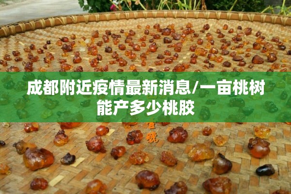 成都附近疫情最新消息/一亩桃树能产多少桃胶