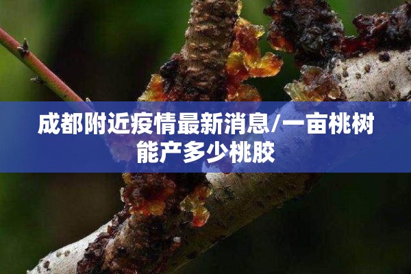 成都附近疫情最新消息/一亩桃树能产多少桃胶