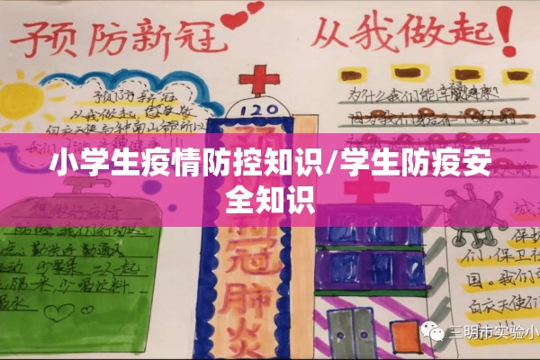 小学生疫情防控知识/学生防疫安全知识 小学生疫情防控知识/学生防疫安全知识