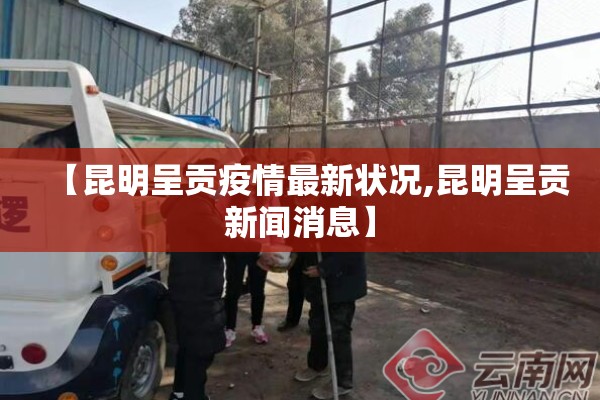 【昆明呈贡疫情最新状况,昆明呈贡新闻消息】