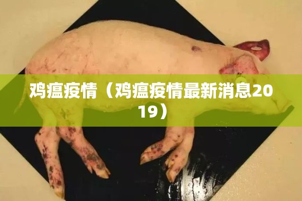2209皮棉期货行情:皮棉价格走势图
