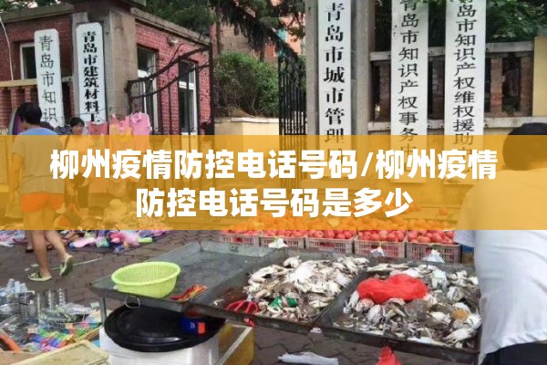 玉林机场疫情最新政策:玉林机场2026暑运最新消息