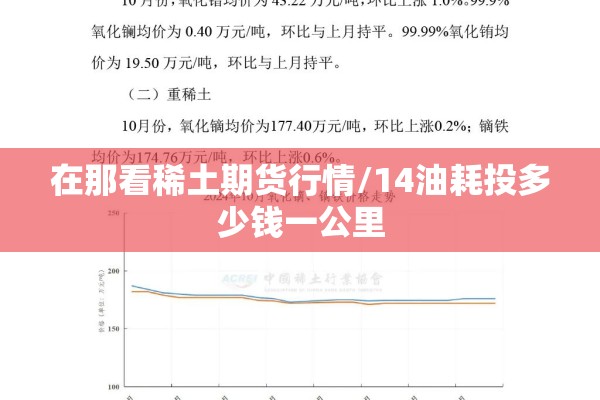 在那看稀土期货行情/14油耗投多少钱一公里