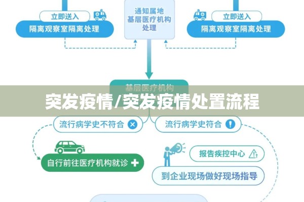 突发疫情/突发疫情处置流程