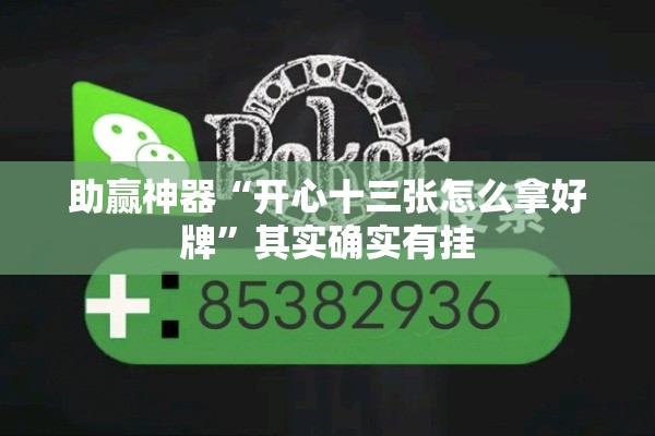 助赢神器“开心十三张怎么拿好牌”其实确实有挂