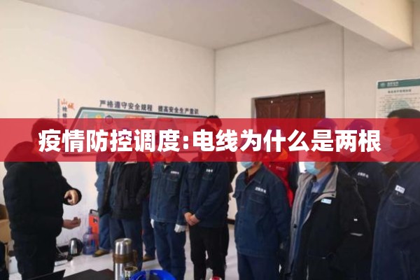 疫情防控调度:电线为什么是两根 疫情防控调度:电线为什么是两根