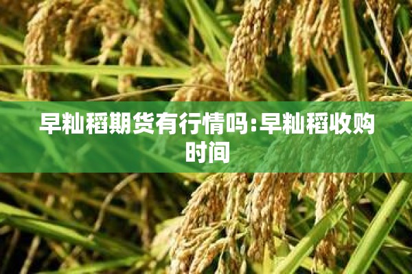 期货直播期货行情预测/期货直播中心