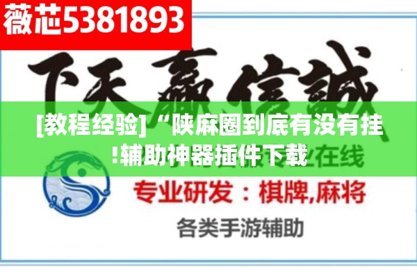 [教程经验]“陕麻圈到底有没有挂!辅助神器插件下载