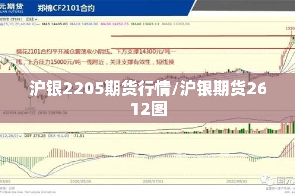 沪银2205期货行情/沪银期货2612图