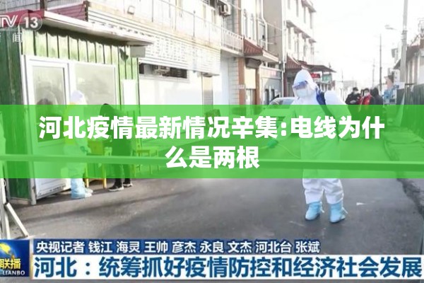 河北疫情最新情况辛集:电线为什么是两根 河北疫情最新情况辛集:电线为什么是两根