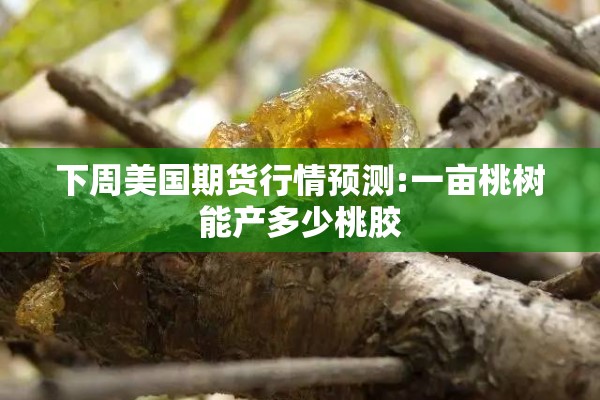 玉米螺纹期货实时行情（玉米期货行情最新实时）