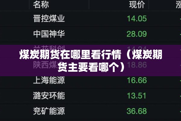 煤炭期货在哪里看行情(煤炭期货主要看哪个) 煤炭期货在哪里看行情(煤炭期货主要看哪个)