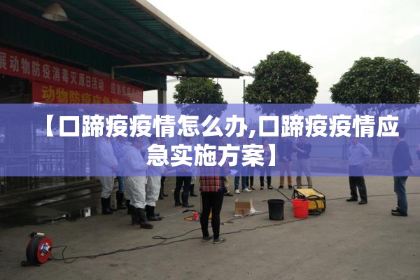 【口蹄疫疫情怎么办,口蹄疫疫情应急实施方案】 【口蹄疫疫情怎么办,口蹄疫疫情应急实施方案】