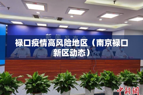 禄口疫情高风险地区（南京禄口新区动态）
