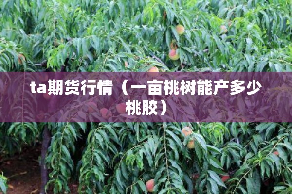 疫情政策最新消息/疫情政策最新消息通知