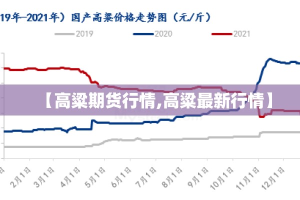 玩家辅助神器:手机拼三张怎么才会赢!辅助神器插件下载