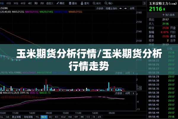 玉米期货分析行情/玉米期货分析行情走势 玉米期货分析行情/玉米期货分析行情走势