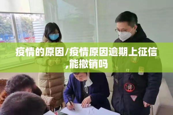 疫情的原因/疫情原因逾期上征信,能撤销吗