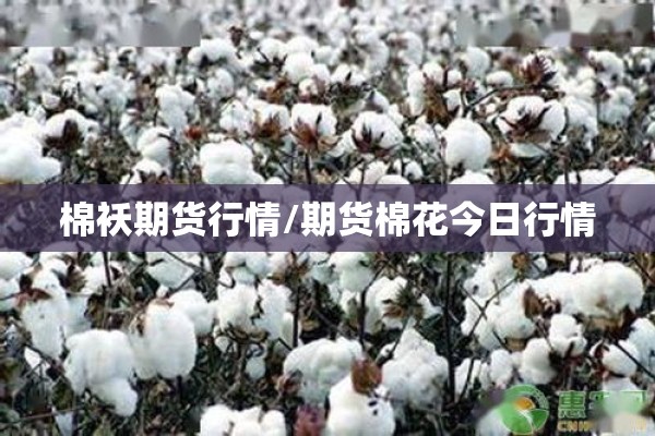 【国内疫情有可能反弹/中国疫情会再次爆发吗】