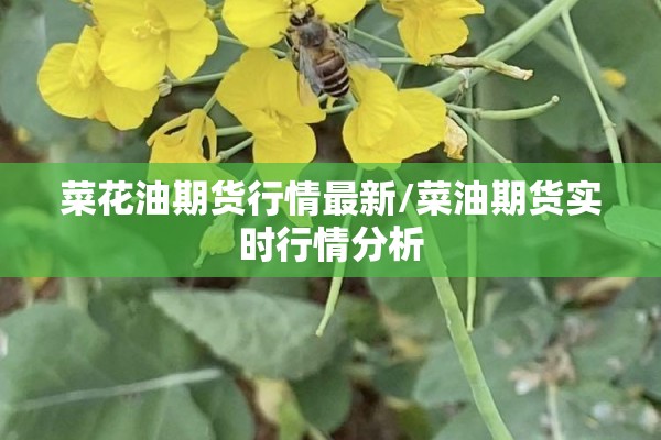 【铂金证券期货实时行情/铂金证券期货实时行情走势】