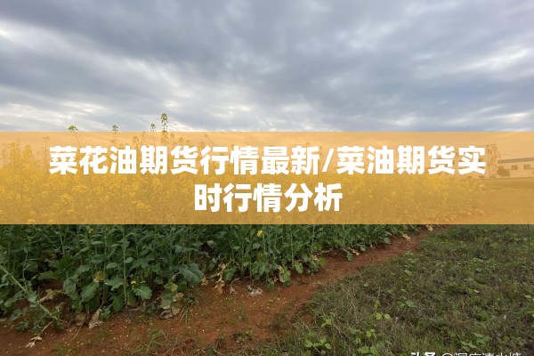 菜花油期货行情最新/菜油期货实时行情分析