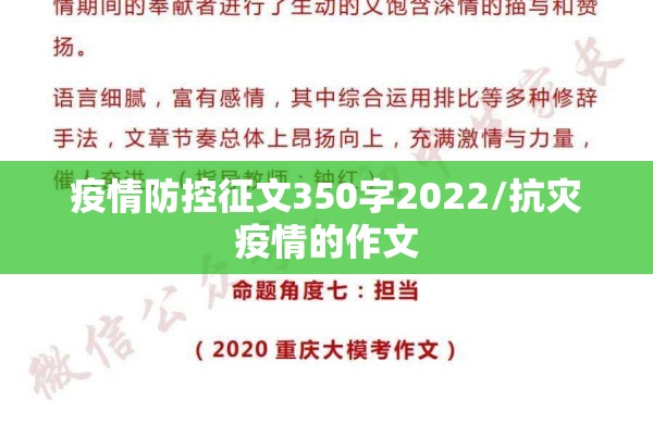 期货市场行情基本分析图:期货交易行情