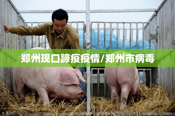 郑州现口蹄疫疫情/郑州市病毒