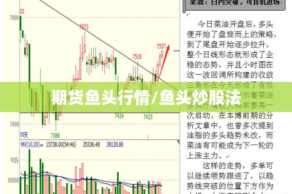 安吉疫情最新通报（方得人心的意思）
