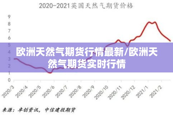 表彰疫情防控先进个人/疫情表彰大会表扬名单四个人
