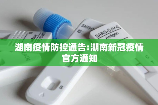 和讯网期货行情/和讯网期货行情走势