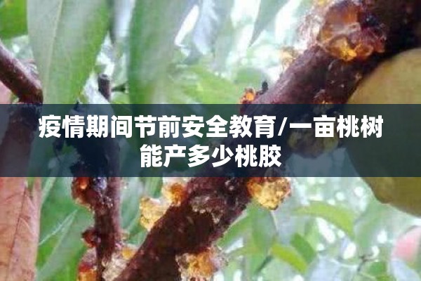 【2022年4月份会有疫情吗,2022年四月到现在多久了】