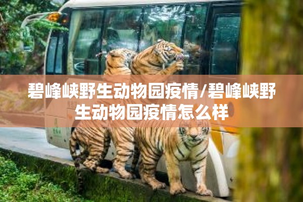 国内疫情情况统计（国内疫情数据汇总）