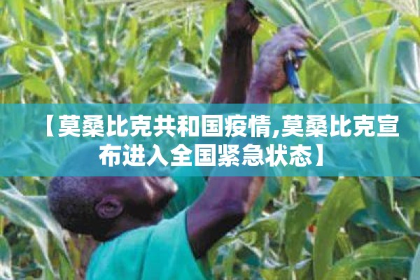 【莫桑比克共和国疫情,莫桑比克宣布进入全国紧急状态】 【莫桑比克共和国疫情,莫桑比克宣布进入全国紧急状态】
