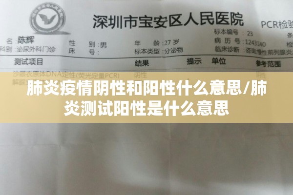 【市疫情防控指挥部/疫情防控指挥部是政府部门吗】