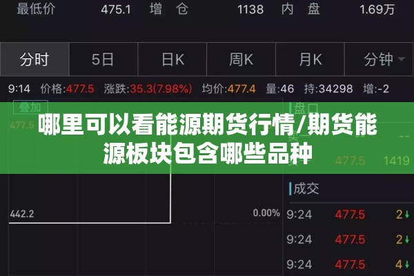 哪里可以看能源期货行情/期货能源板块包含哪些品种