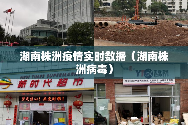 【疫情防控网格,疫情防控网格员在行动】