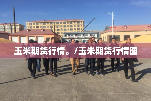 玉米期货行情。/玉米期货行情图