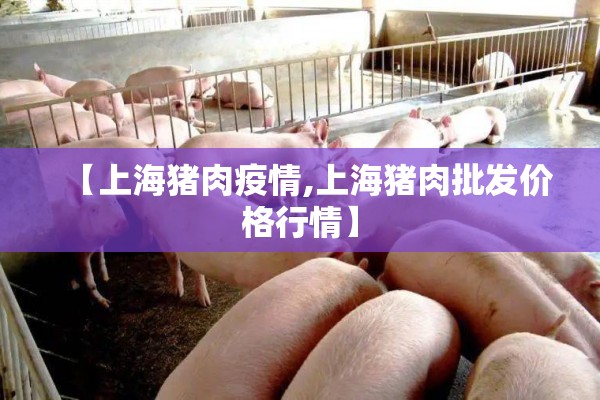 【上海猪肉疫情,上海猪肉批发价格行情】