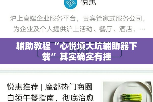 辅助教程“心悦填大坑辅助器下载”其实确实有挂