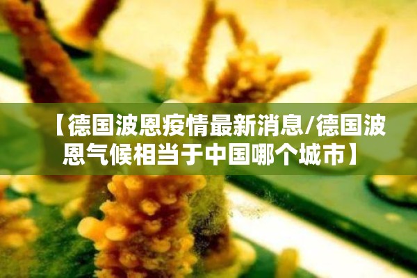 [教程经验]“微乐陕西麻将万能开挂器免费”开挂(透视)辅助神器