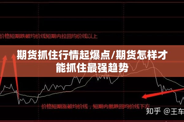 期货鸡蛋行情:期货鸡蛋行情预测最新