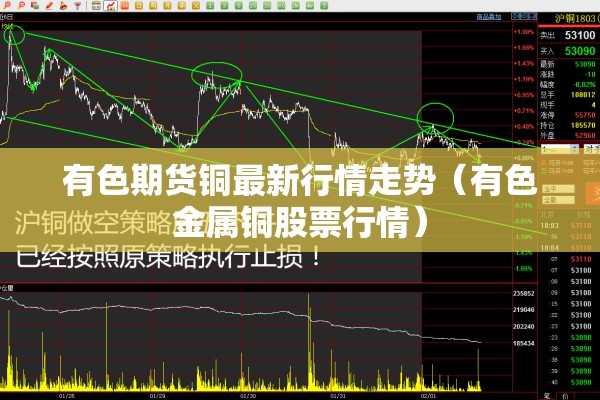 中央新闻直播今天疫情/中央新闻直播今天疫情最新消息