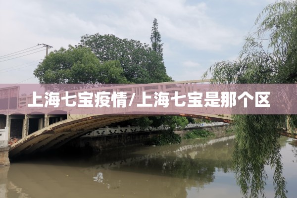 上海七宝疫情/上海七宝是那个区