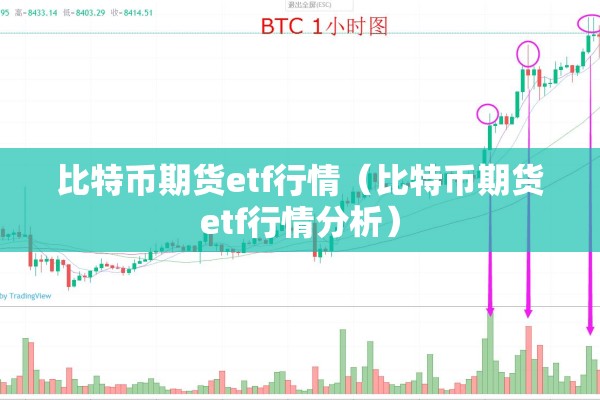 比特币期货etf行情（比特币期货etf行情分析）