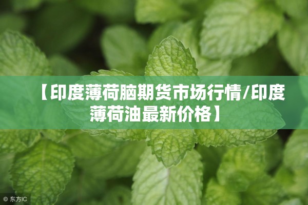 【印度薄荷脑期货市场行情/印度薄荷油最新价格】 【印度薄荷脑期货市场行情/印度薄荷油最新价格】