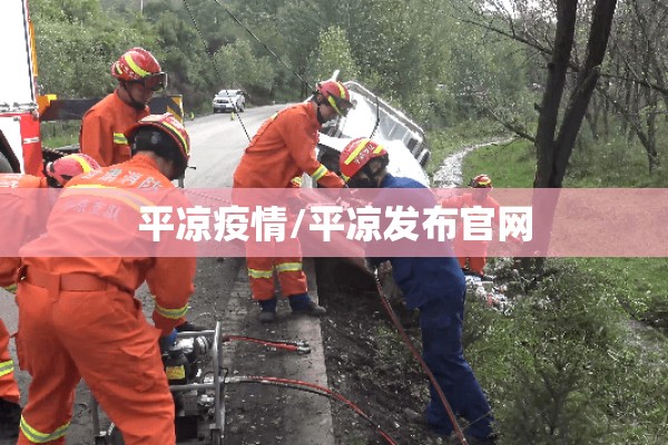 新乡期货公司价格行情/7月17日新乡今日价格