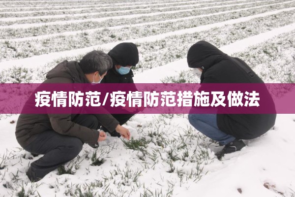 疫情防范/疫情防范措施及做法 疫情防范/疫情防范措施及做法