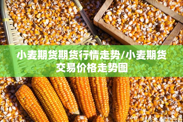 小麦期货期货行情走势/小麦期货交易价格走势图 小麦期货期货行情走势/小麦期货交易价格走势图