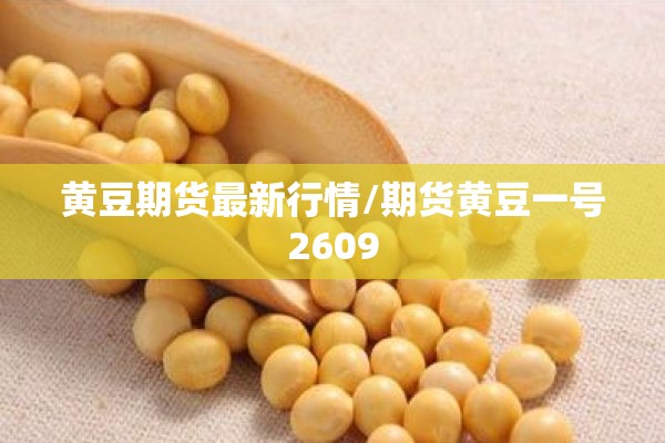 疫情期间去外地证明（在外证明怎么写）