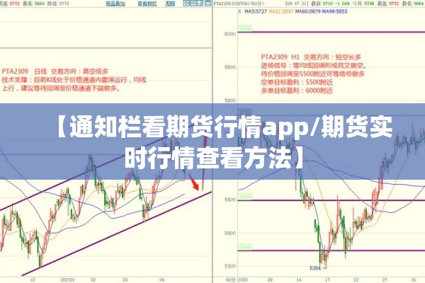 【期货铁矿石实时行情,期货铁矿石实时行情走势】